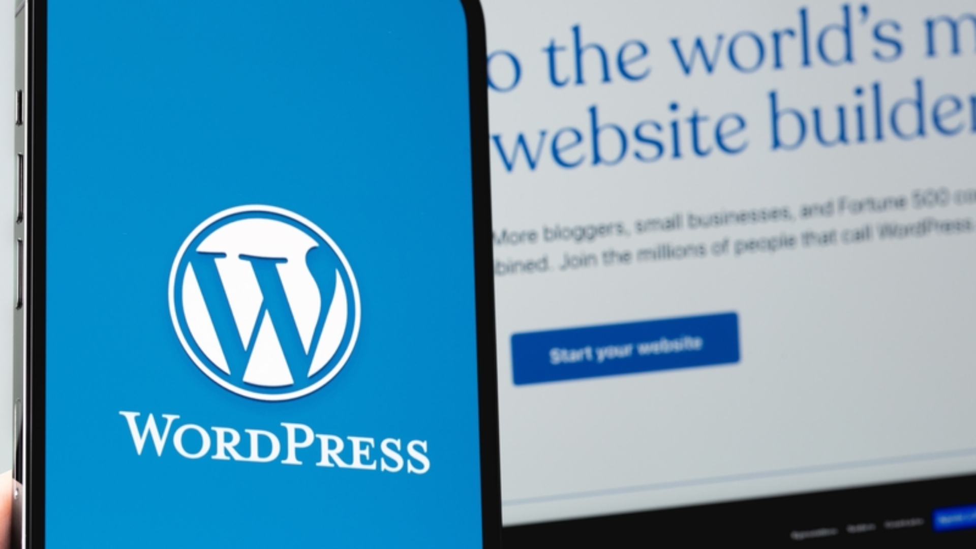 Why WordPress?